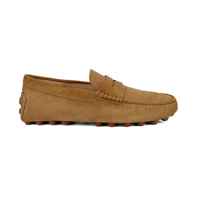 Tod's Macro 52k Gommino Shearling Loafers In Beige