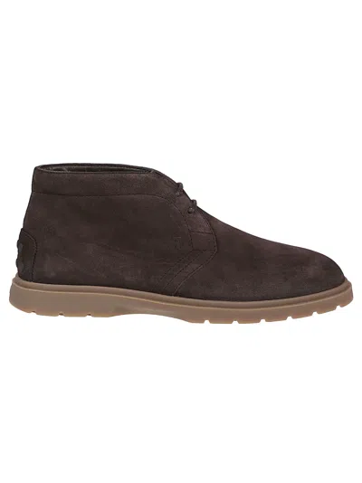 Tod's Desert Boots In Suede In Brown