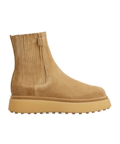 Tod's Ankle Boots In Suede In Brown