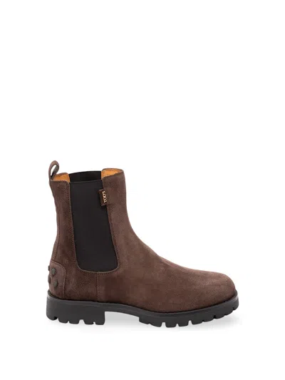 Tod's Ankle Boots In Suede Leather In Brown