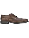 Tod's Classic Brogues In Brown