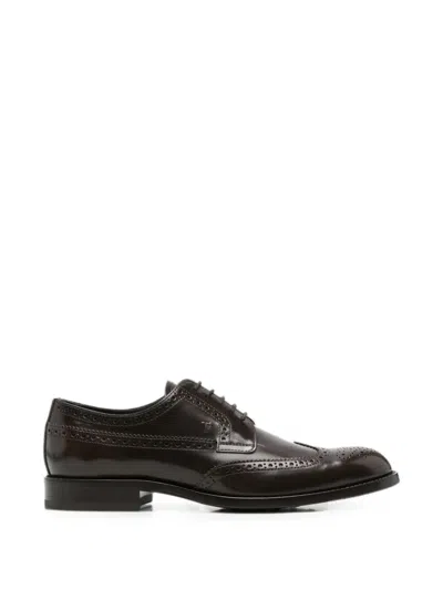 Tod's Janeiro Leather Brogues Derby Formal Silhouette In Multi