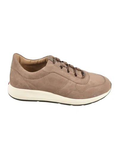 Tod's Elastic Sportivo 79k Sneakers In Beige
