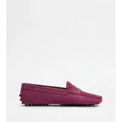 Tod's Gommino Driving Shoes In Suede