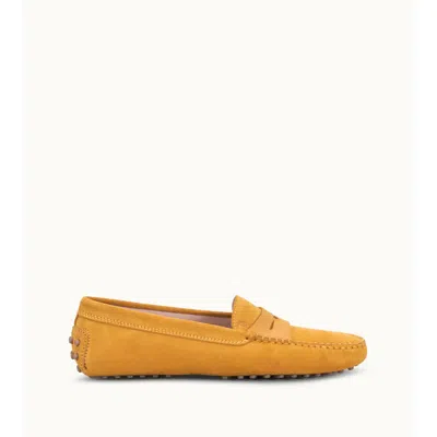 TOD'S GOMMINO DRIVING SHOES IN SUEDE
