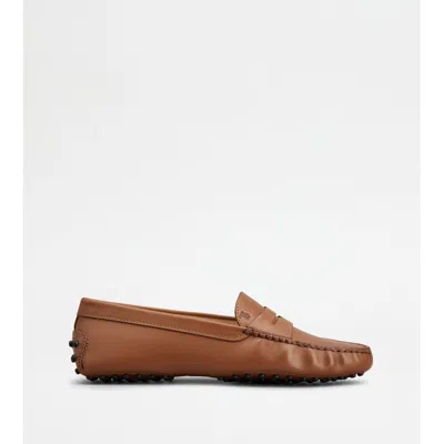 Tod's Gommino Loafers In Leather In Brown