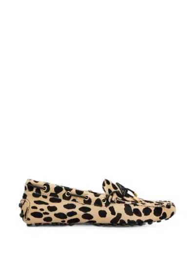 Tod's Mokassins Gommino Aus Leder In Ponyfell-optik In Brown
