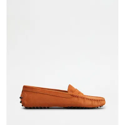 Tod's Gommino Loafers In Suede In Brown