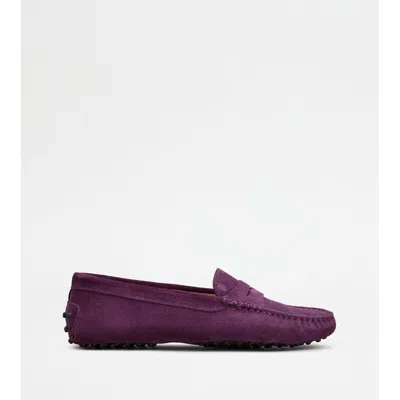 Tod's Gommino Loafers In Suede In Brown
