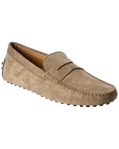 Tod's Tods Gommino Suede Loafer