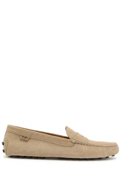 Tod's Tods Gommino Suede Loafers In Brown