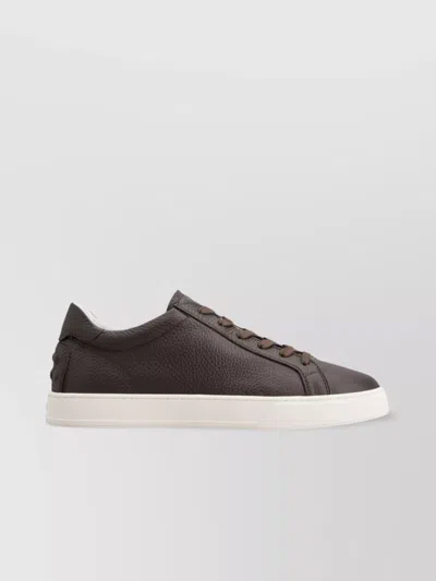 Tod's Grained Leather Round Toe Rubber Sole Sneakers In Brown