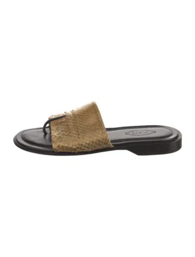 Pre-owned Tod's Leather Animal Print Slides In Black