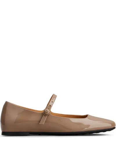 Tod's Ballerinas In Patent Leather In Brown