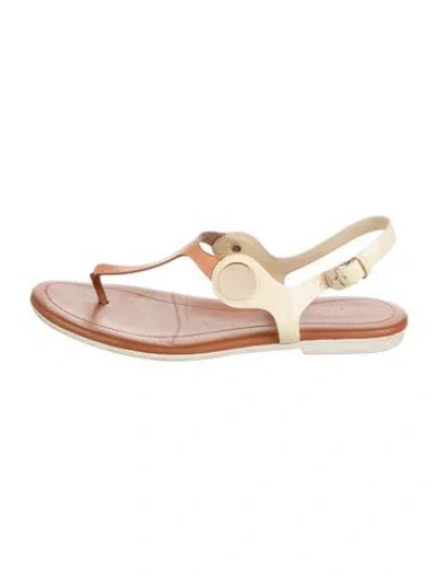 Pre-owned Tod's Leather Colorblock Pattern T-strap Sandals In Pink