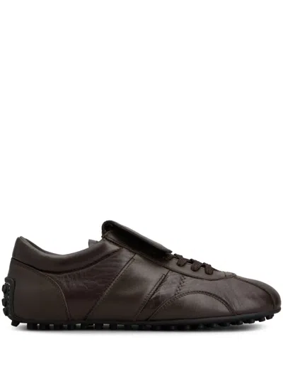 Tod's Leather Sneakers In Brown