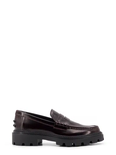 Tod's Loafer In Brown