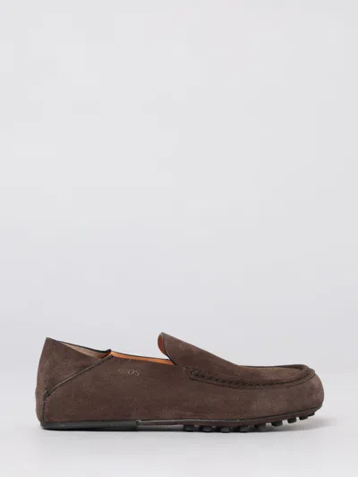 Tod's Loafer Woman  In Brown