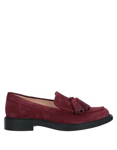 Tod's Loafers In Maroon