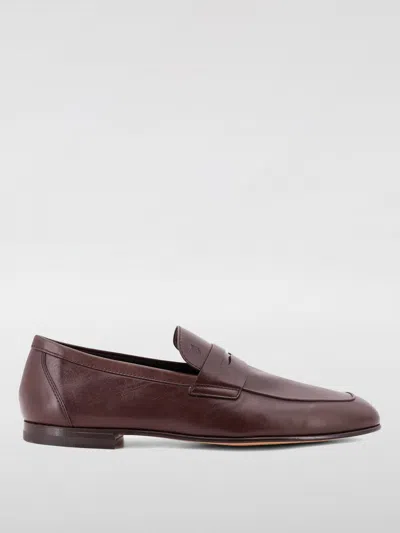 Tod's Loafers  Men Color Brown