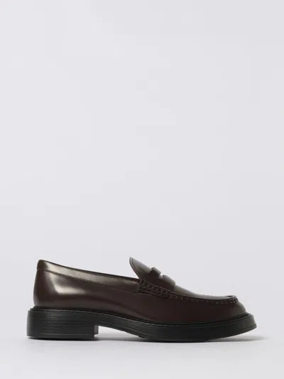 Tod's Loafers  Men Colour Brown