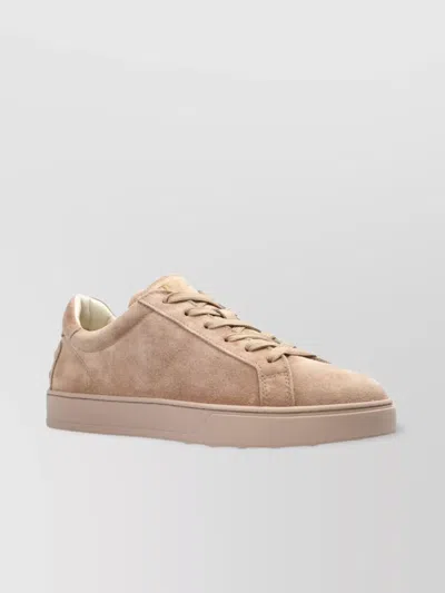 Tod's Low Top Sneakers Suede Finish In Neutral