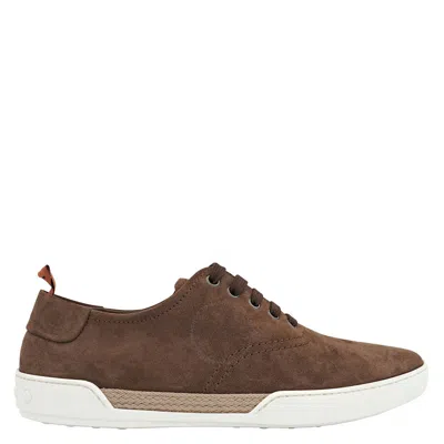 Tod's Tods Men's Allacciato Gomma Lace-up Sneakers In Brown