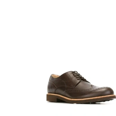 Tod's Tods Men's Classic Brogue Shoes Dark Brown