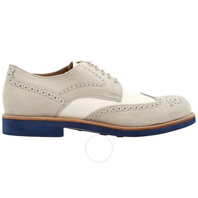 Tod's Tods Men's Perforated Two-tone Nubuck Oxford Brogues In Stone/white