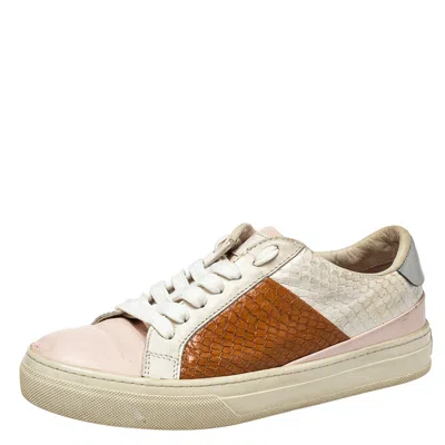 Pre-owned Tod's Multicolor Python And Leather Lace Up Sneakers Size 36
