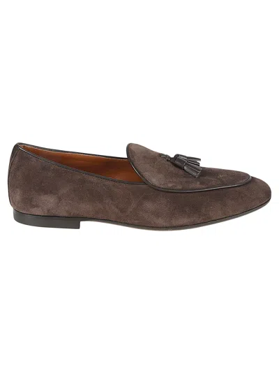 Tod's Nappine Loafers In Brown