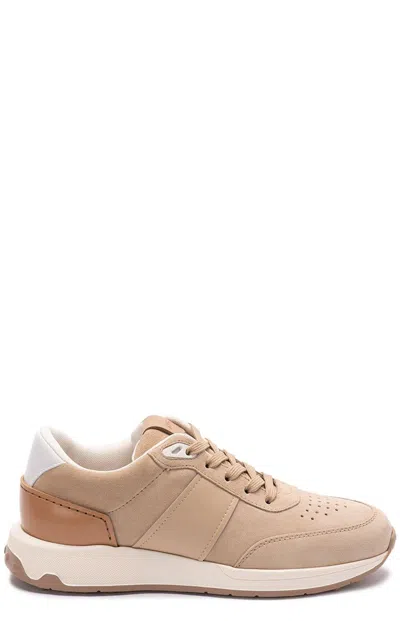 Tod's Panelled Lace-up Sneakers In Sabbia