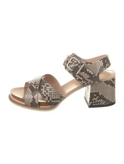 Pre-owned Tod's Python Animal Print Sandals In Neutral