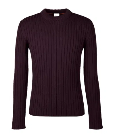 Tod's Ribbed Crew-neck Sweater In Brown