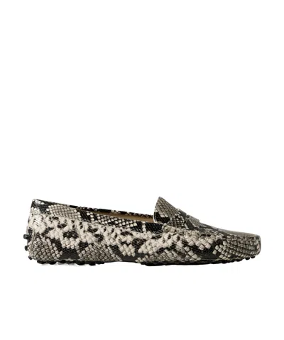 Tod's Round Head Loafer Shoes In Multi