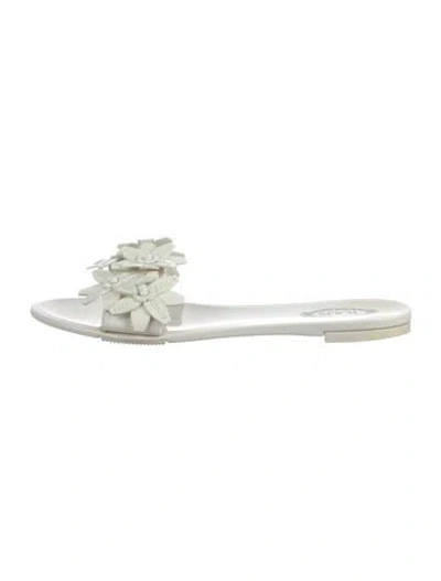 Pre-owned Tod's Rubber Flats In White