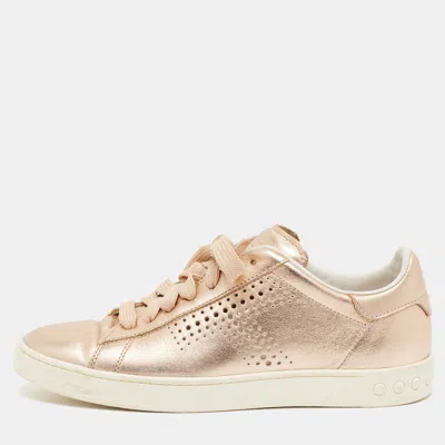 Pre-owned Tod's Size 36 Gold Perforated Leather Lace Up Sneakers