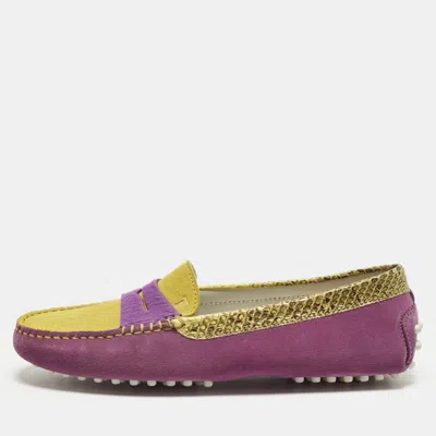 Pre-owned Tod's Size 36.5 Purple/yellow Suede And Python Leather Loafers
