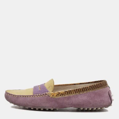 Pre-owned Tod's Size 36.5 Purple/yellow Suede And Python Leather Loafers