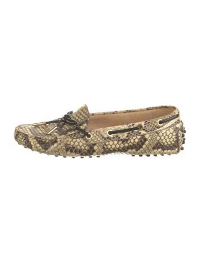 Pre-owned Tod's Snakeskin Animal Print Loafers In Neutral