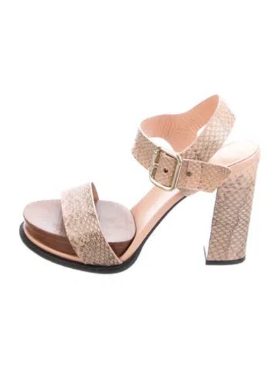 Pre-owned Tod's Snakeskin Animal Print Sandals In Pink