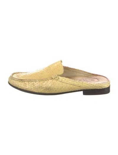 Pre-owned Tod's Snakeskin Mules In Yellow