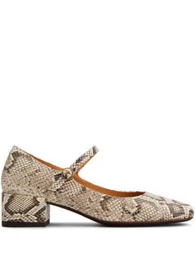 Tod's Snakeskin Pumps In Brown,off White