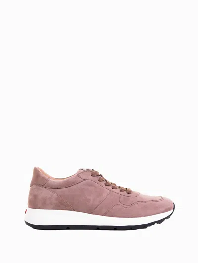Tod's Tods Sneakers In Brown