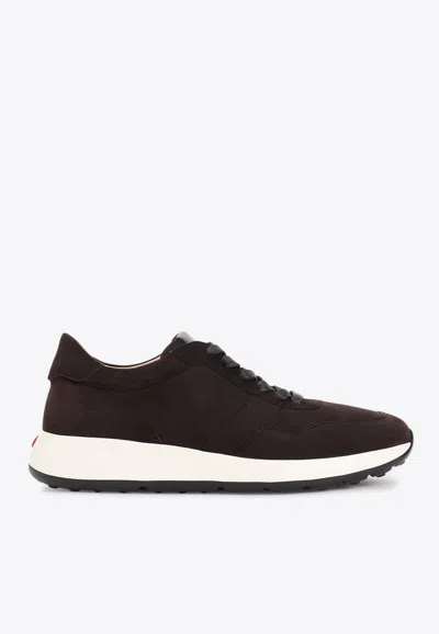 Tod's Suede Leather Sneakers In Brown