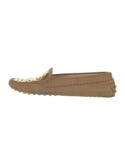 Pre-owned Tod's Suede Loafers In Brown
