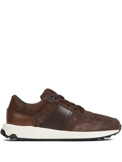 Tod's Suede Sneakers In Brown
