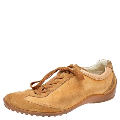 Tod's Brown Suede Low Top Sneakers In Multi