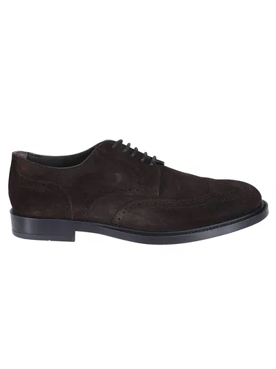 Tod's Brown Wingtip Derby Shoes With Intricate Brogue Detailing In Black