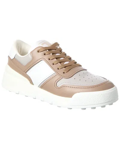 Tod's Cassetta Leather Sneaker In Brown